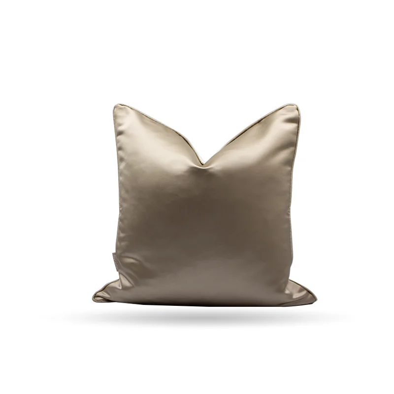 CUSHION-31