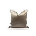 CUSHION-31