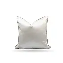 CUSHION-31