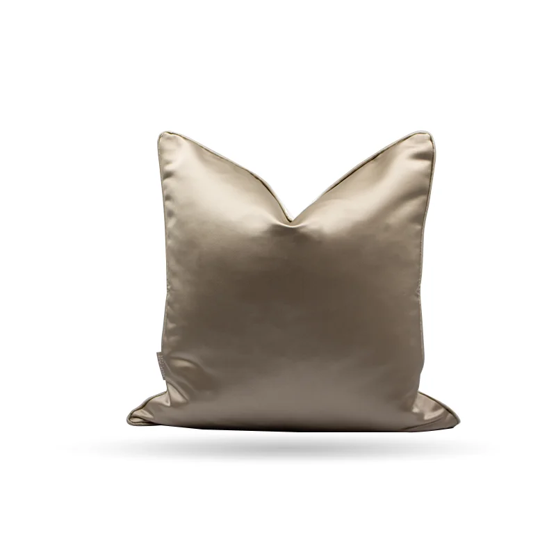 CUSHION-31