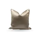 CUSHION-31