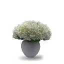 DECORATIVE VASE-SMALL FULL WHITE