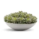 DECORATIVE POT-02