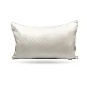 CUSHION-22