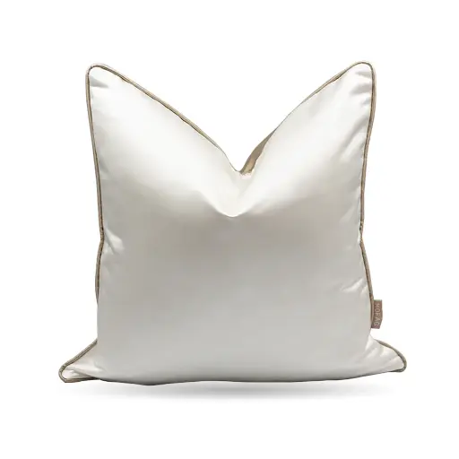 CUSHION-05