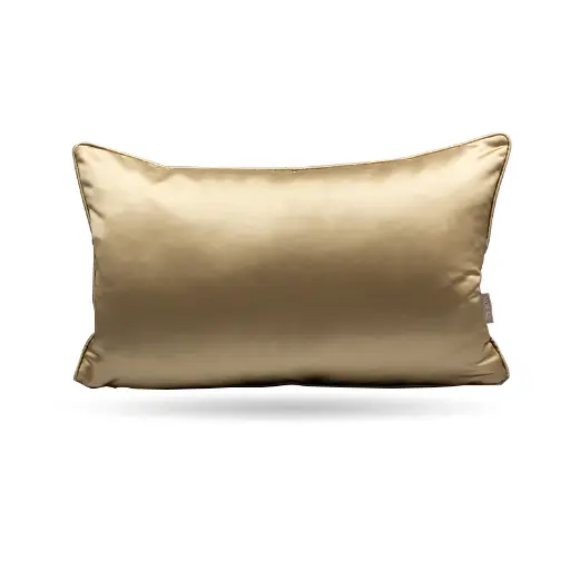 CUSHION-23