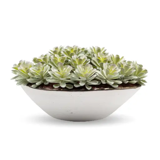 [MOF-02-0010-03] DECORATIVE POT-02